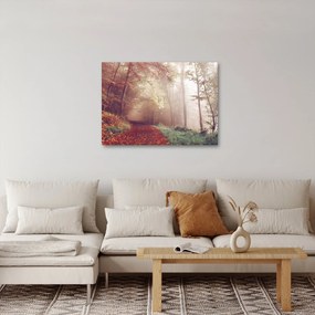 Obraz - Jesenná prechádzka lesom (70x50 cm)