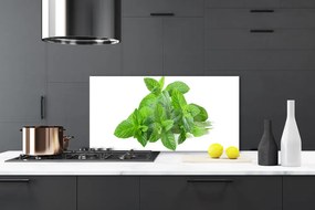 Sklenený obklad Do kuchyne Mäta rastlina príroda 125x50 cm