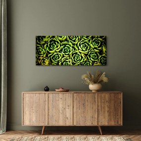 Obraz skalníc (120x50 cm)