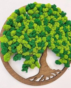 Strom na stenu z machu Naga 50 cm