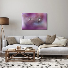 Obraz kvapôčok na páperí (90x60 cm)