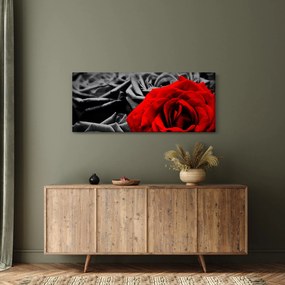 Obraz - Ruže (120x50 cm)