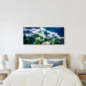 Obraz sedmokrások (120x50 cm)