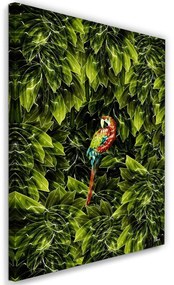 Gario Obraz na plátne Papagáj v listoch - Rubiant Rozmery: 40 x 60 cm