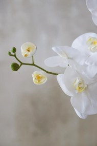 Umelá orchidea ORCHIDELIS, plast, výška 87 cm, biela