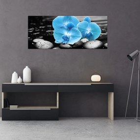 Obraz - Modrá orchidea (120x50 cm)