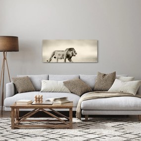 Obraz - Hladný lev (120x50 cm)