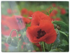 Skleněné krájecí prkénko Aria POPPY 30x40 cm červené