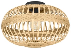 Eglo 43723 - Stropné svietidlo AMSFIELD 1xE27/40W/230V