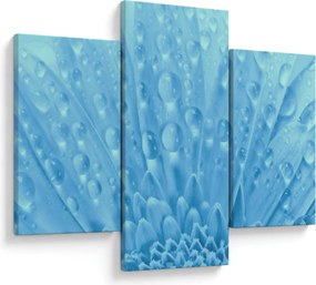 Obraz - Makro záber kvetu (90x60 cm)
