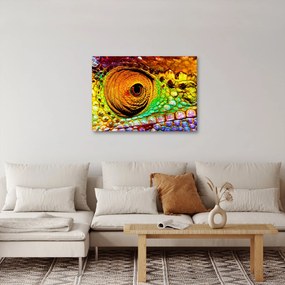 Obraz - Chameleon (70x50 cm)