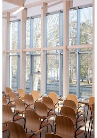 Hnedé/koňakovohnedé jedálenské stoličky v súprave s podrúčkami/stohovateľné 2 ks v dekore orecha Book – Gazzda