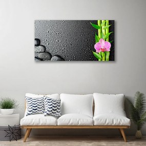 Obraz Canvas Bambus stonka kvet rastlina 125x50 cm