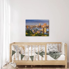 Obraz - Panorama Rotterdamu, Holandsko (70x50 cm)
