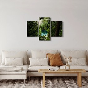 Obraz - Priezor medzi stromami (90x60 cm)