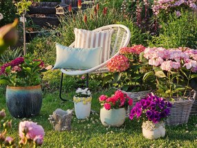 Hnedý cementový kvetináč kmeň stromu s hubami Botanic M - 24*18*18 cm
