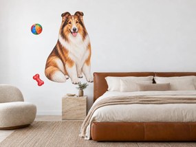 Usmievavá kólia s loptičkou a kosťou realistické textilné dekorácie na stenu arch 30 x 46 cm