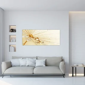 Obraz - Makro fotografie púpavy (120x50 cm)