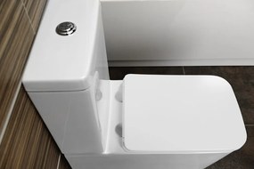 Sapho Sapho, PORTO WC kombi misa s nádržkou Rimless , spodný/zadný odpad, PC102WR
