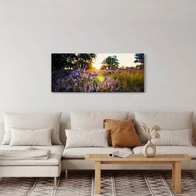 Obraz poľa levanduľou (120x50 cm)