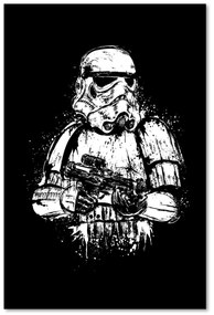 Gario Obraz na plátne Star Wars, Starship Trooper - Dr.Monekers Rozmery: 40 x 60 cm