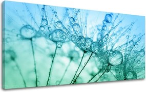 Obraz na stenu PANORÁMA KVETY KV061E13 - 30x60 cm