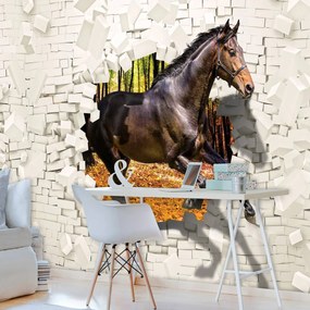 Fototapeta - Kôň vyskočil zo steny - 3D (254x184 cm)