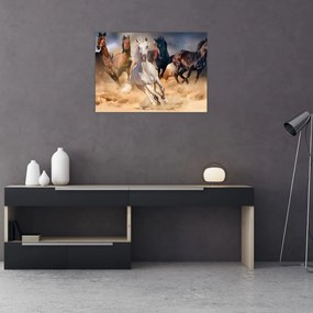 Sklenený obraz - Kone v púšti (70x50 cm)