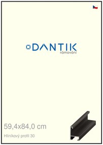 DANTIK rám na obraz 59,4x84 | ALU Černá matná (Plexi Čiré)