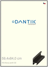 DANTIK rám na obraz 59,4x84 | ALU Černá matná (Plexi Čiré)