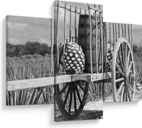 Obraz - Prívesný vozík, čiernobiela (90x60 cm)