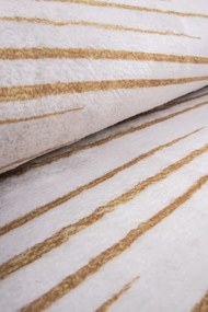 Koberec CANES KLXD220428