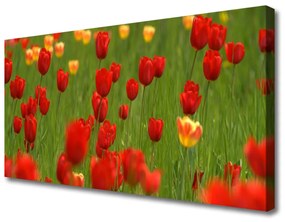 Obraz na plátne Tulipány rastlina 125x50 cm