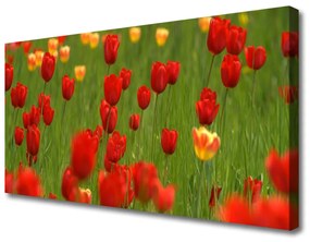 Obraz na plátne Tulipány rastlina 140x70 cm