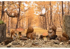 Polyresínová záhradná soška Squirrel – Esschert Design