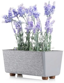 PLASTOVÝ KVETINÁČ SALVIA TX 28,5X17 CM SIVÁ
