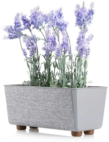PLASTOVÝ KVETINÁČ SALVIA TX 28,5X17 CM SIVÁ