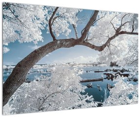 Obraz zasneženého stromu pri vode (90x60 cm)