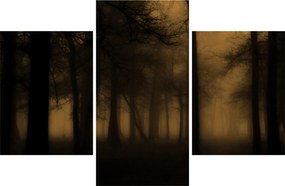 Obraz - Temný les (90x60 cm)
