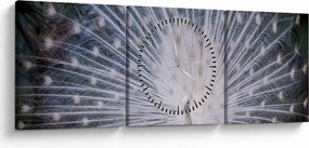 Obraz - Biely páv (s hodinami) (90x30 cm)