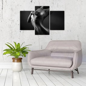 Obraz - Akt ženy (90x60 cm)