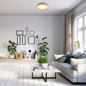 Rabalux 71143 - LED Stropné svietidlo LEANA LED/12W/230V 3000K pr. 26 cm