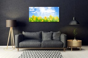 Skleneny obraz Narcisy lúka tráva príroda 125x50 cm