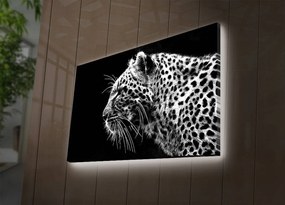 Obraz s LED osvětlením LEVHART 44 45 x 70 cm