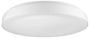 LED stropné svietidlo Cortona 41 4000K biele