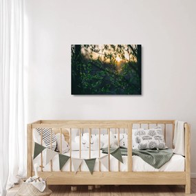 Sklenený obraz presvitajúceho slnka cez vetvičky stromov (70x50 cm)