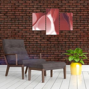 Obraz - Červená abstraktná kvetina N⁰3 (90x60 cm)