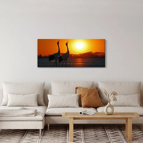 Obraz vtákov pri západe slnka (120x50 cm)