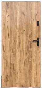 Dvere vchodové Artemida P55 90P Dub Sonoma
