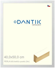 DANTIK rám na obraz 40x50 | PERLA bílá lesklá vysoká (Plexi Čiré)